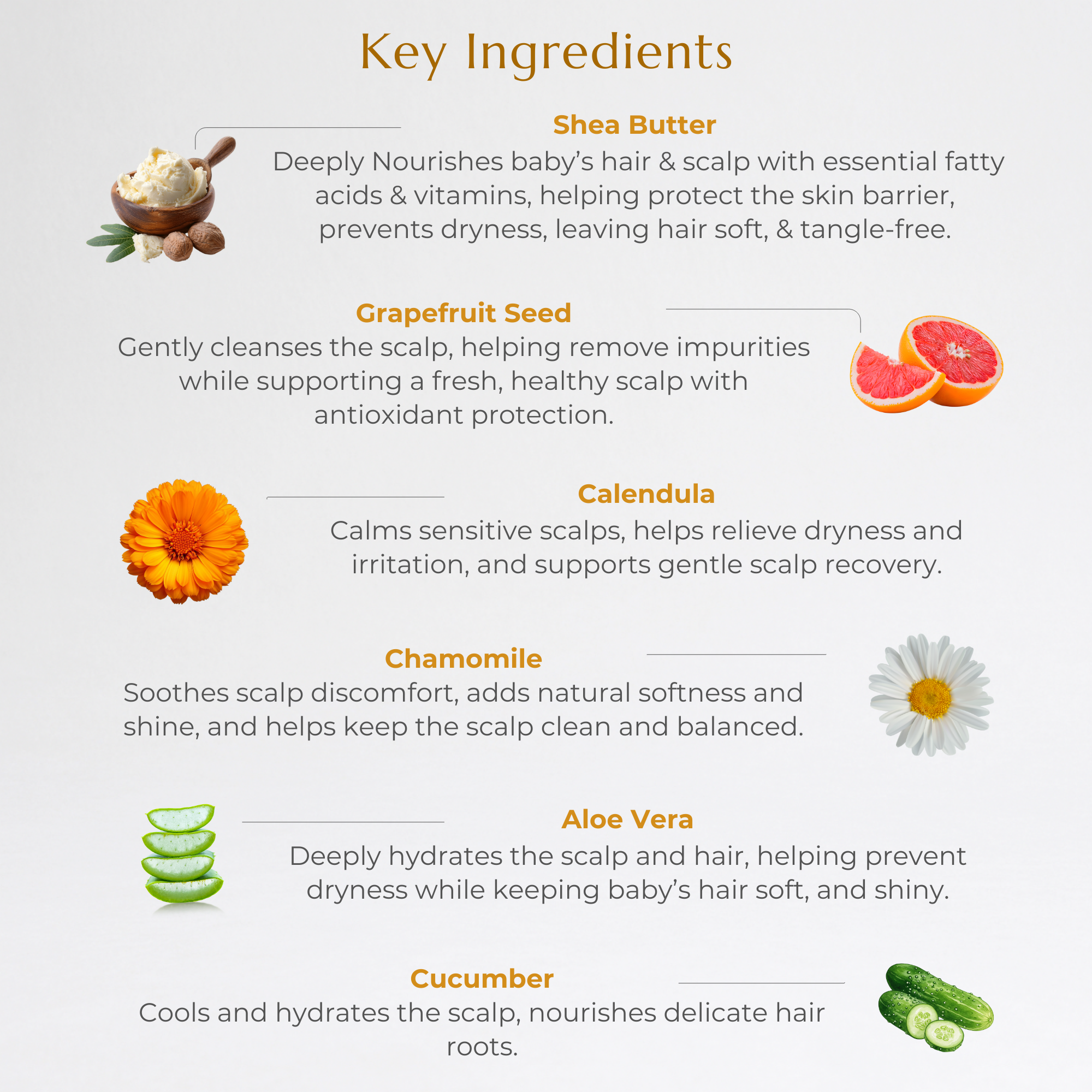 Aier Baby Conditioning Shampoo